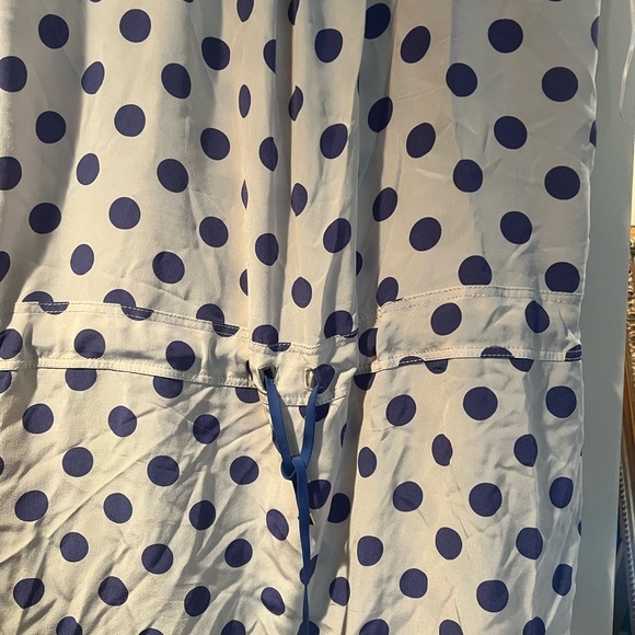 VDP Polka Dot dress with Blue Accents - Picture 4 of 6